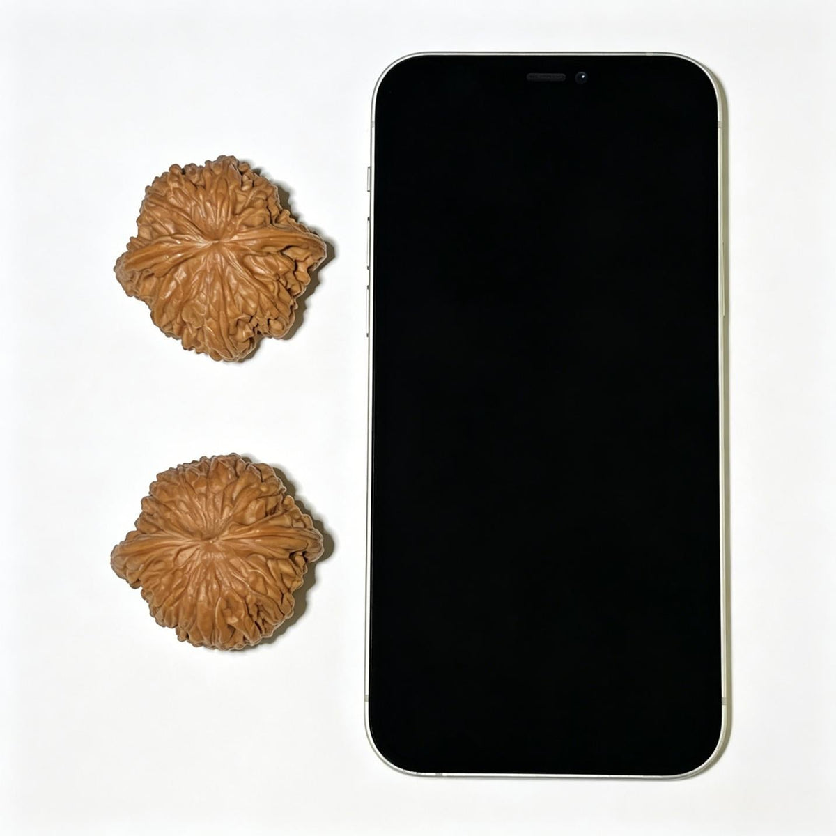 "Millstone" Mopan Wenwan Walnuts Pair | 42.0mm x 40.0mm | MP-1110 - ThePatinaProject