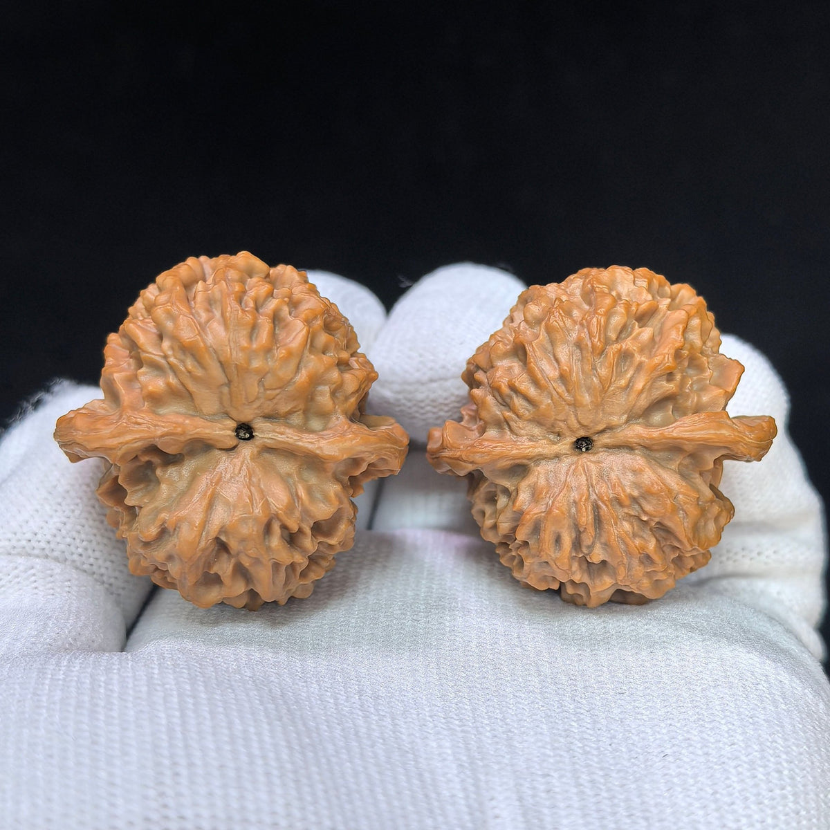 Mini Gold Ingot Yuanbao Wenwan Walnut Pair | Compact Ingot Form | 36.0mm × 36.0mm | XZPGYB-17D0 - ThePatinaProject