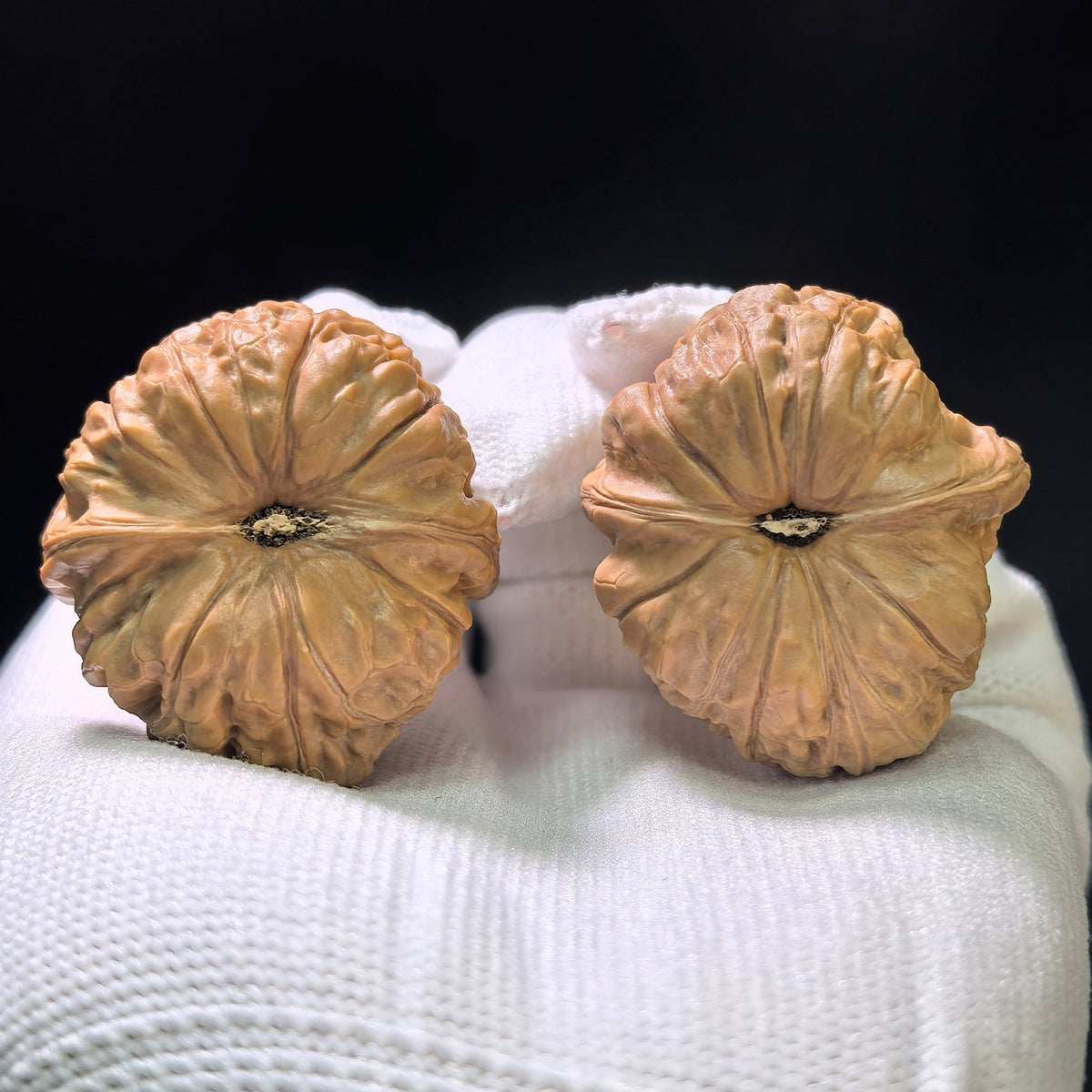"Mini Pumpkin Stance" Xiaonanguadun Pocket Hand-Twist Wenwan Walnuts Pair | 33.0mm x 37.0mm | NGD-1107 - ThePatinaProject