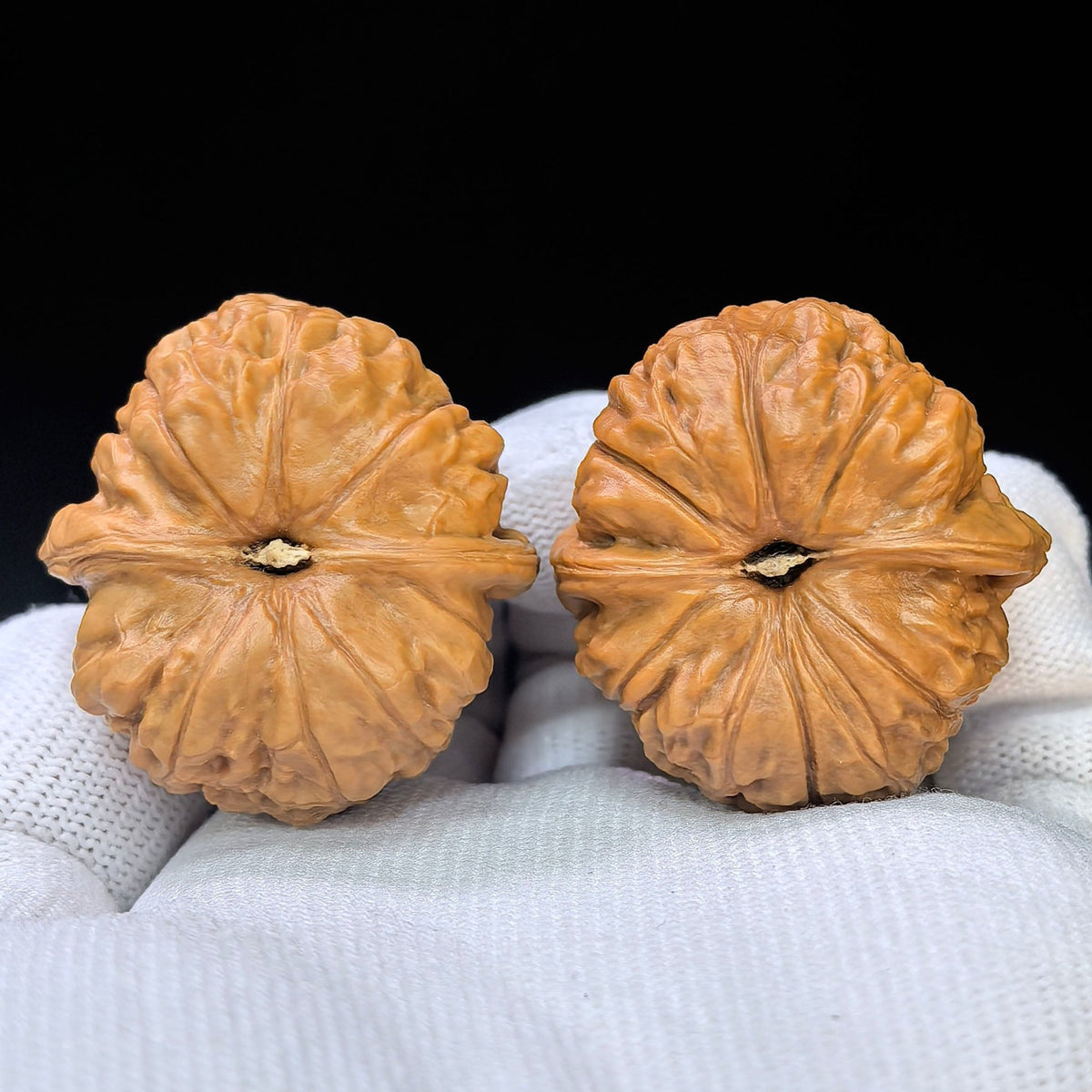 Mini Pumpkin Wenwan Walnut Pair | Compact Rounded Form | 36.0mm × 38.0mm | XNG-17E9 - ThePatinaProject