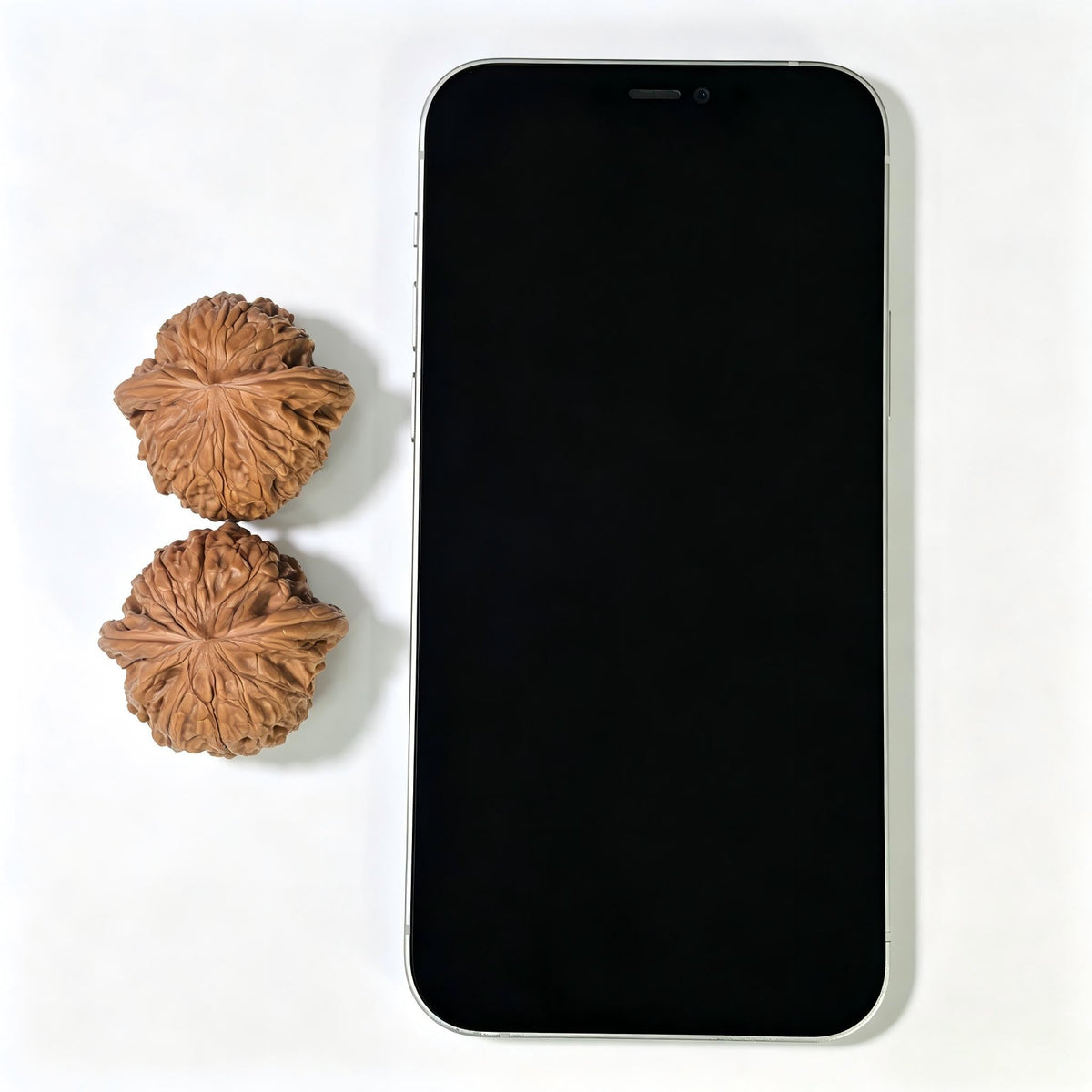 Miniature Butterfly Mopan Wenwan Walnut Pair – Compact Winged Low-Profile Form | 35.0mm × 34.0mm | MP-1609 - ThePatinaProject