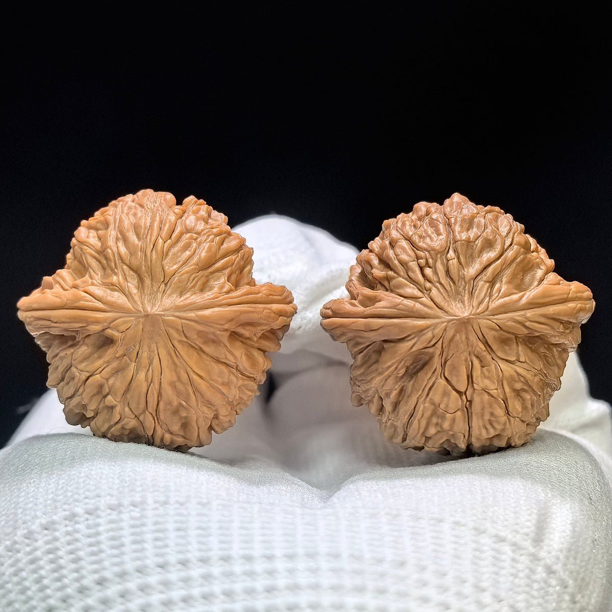 Miniature Butterfly Mopan Wenwan Walnut Pair – Compact Winged Low-Profile Form | 35.0mm × 34.0mm | MP-1609 - ThePatinaProject