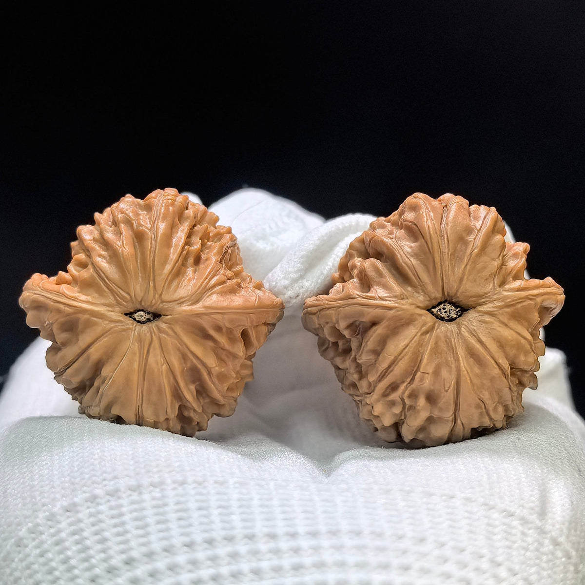 Miniature Butterfly Mopan Wenwan Walnut Pair – Compact Winged Low-Profile Form | 35.0mm × 34.0mm | MP-1609 - ThePatinaProject