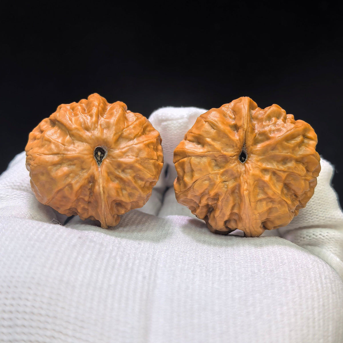 "Miniature Crystal Frog Hawk-Beak Smooth-Sailing" (Xiu Zhen Shui Jing Wa Ying Zui Yi Fan) Scholar Walnuts | Ultra-Rare 35.0mm x 35.0mm Isometric Profile | Singularities Grade Masterpiece | Stock ID: SJWYZYF-CG201E - ThePatinaProject