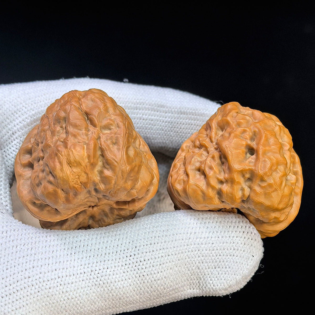 Miniature "Crystal Frog" Wenwan Walnut Pair | Compact Rounded Form | 32.0mm × 35.0mm | XZSJW-17E8 - ThePatinaProject