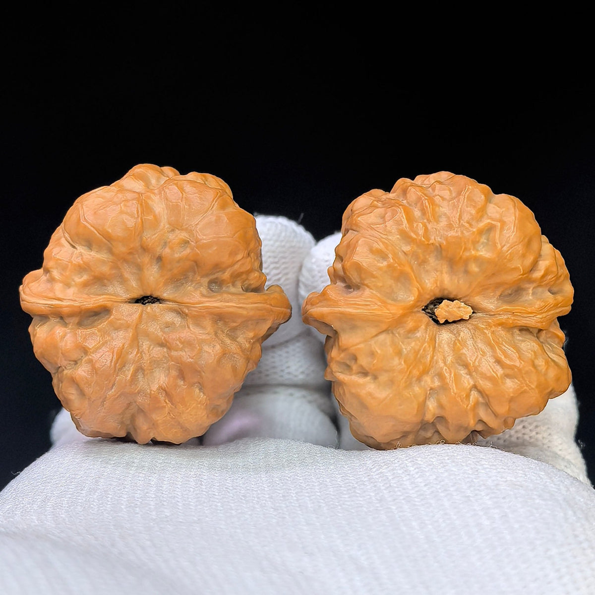 Miniature "Crystal Frog" Wenwan Walnut Pair | Compact Rounded Form | 32.0mm × 35.0mm | XZSJW-17E8 - ThePatinaProject