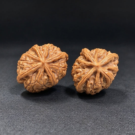 Miniature Four-Ridge Wenwan Walnut Pair | 37.0mm × 38.0mm | XZSL-C1C4E - ThePatinaProject