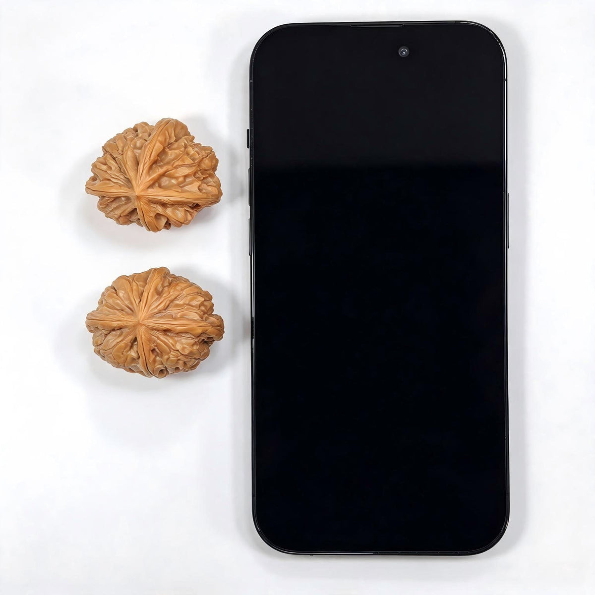 Miniature Four-Ridge Wenwan Walnut Pair | 37.0mm × 38.0mm | XZSL-C1C4E - ThePatinaProject