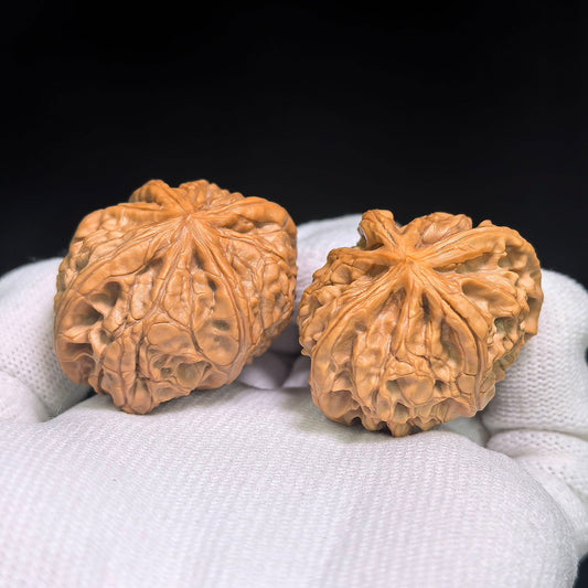 Miniature Four-Ridge Wenwan Walnut Pair | 37.0mm × 38.0mm | XZSL-C1C4E - ThePatinaProject