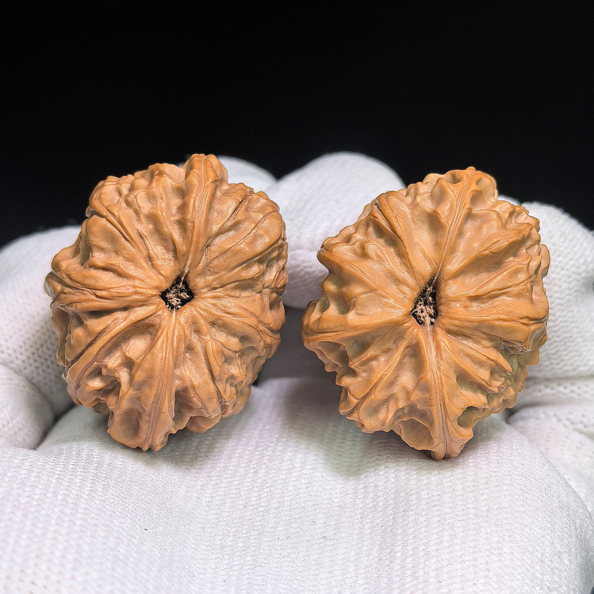 Miniature Four-Ridge Wenwan Walnut Pair | 37.0mm × 38.0mm | XZSL-C1C4E - ThePatinaProject