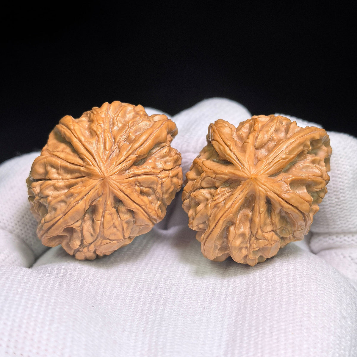 Miniature Four-Ridge Wenwan Walnut Pair | 37.0mm × 38.0mm | XZSL-C1C4E - ThePatinaProject