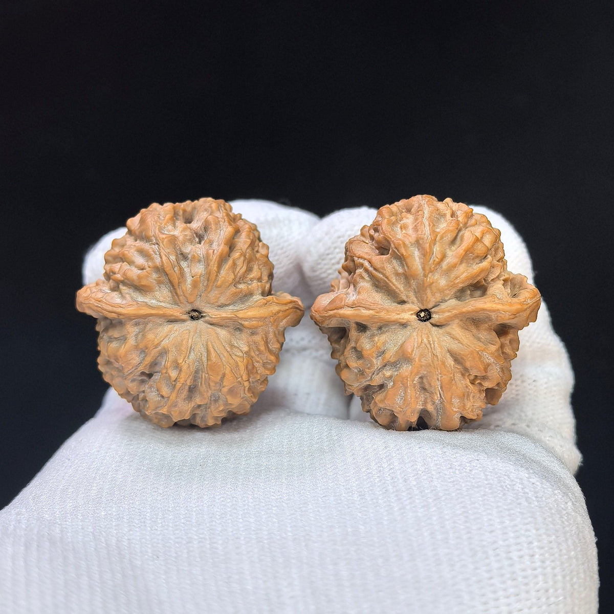 Miniature Hand-Twirl “Yuanbao” Wenwan Walnut Pair — 31.0mm x 32.0mm | YB-SY1F5 - ThePatinaProject