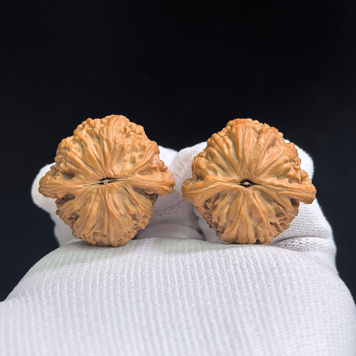 Miniature Round-Bodied White Lion Hand-Twirl Wenwan Walnut Pair — 31.0mm x 30.0mm | BSJ-SY1H5 - ThePatinaProject