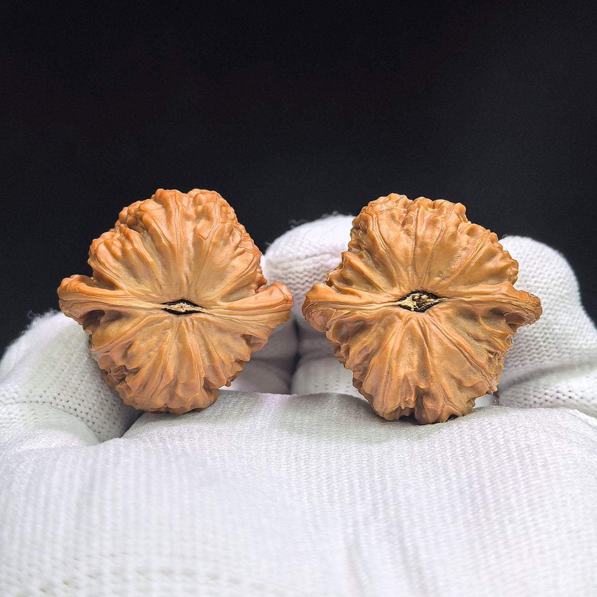 Miniature Three-Ridge White Lion Wenwan Walnut Pair — 34.0mm x 33.0mm | XZSLBSZ-17G0 - ThePatinaProject