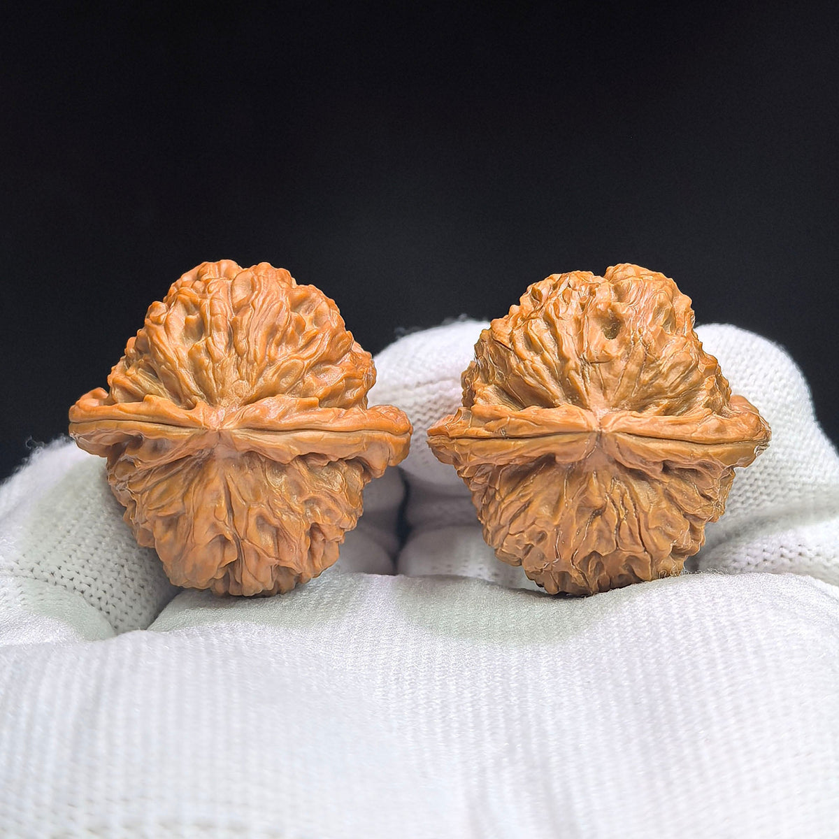 Miniature Three-Ridge White Lion Wenwan Walnut Pair — 34.0mm x 33.0mm | XZSLBSZ-17G0 - ThePatinaProject