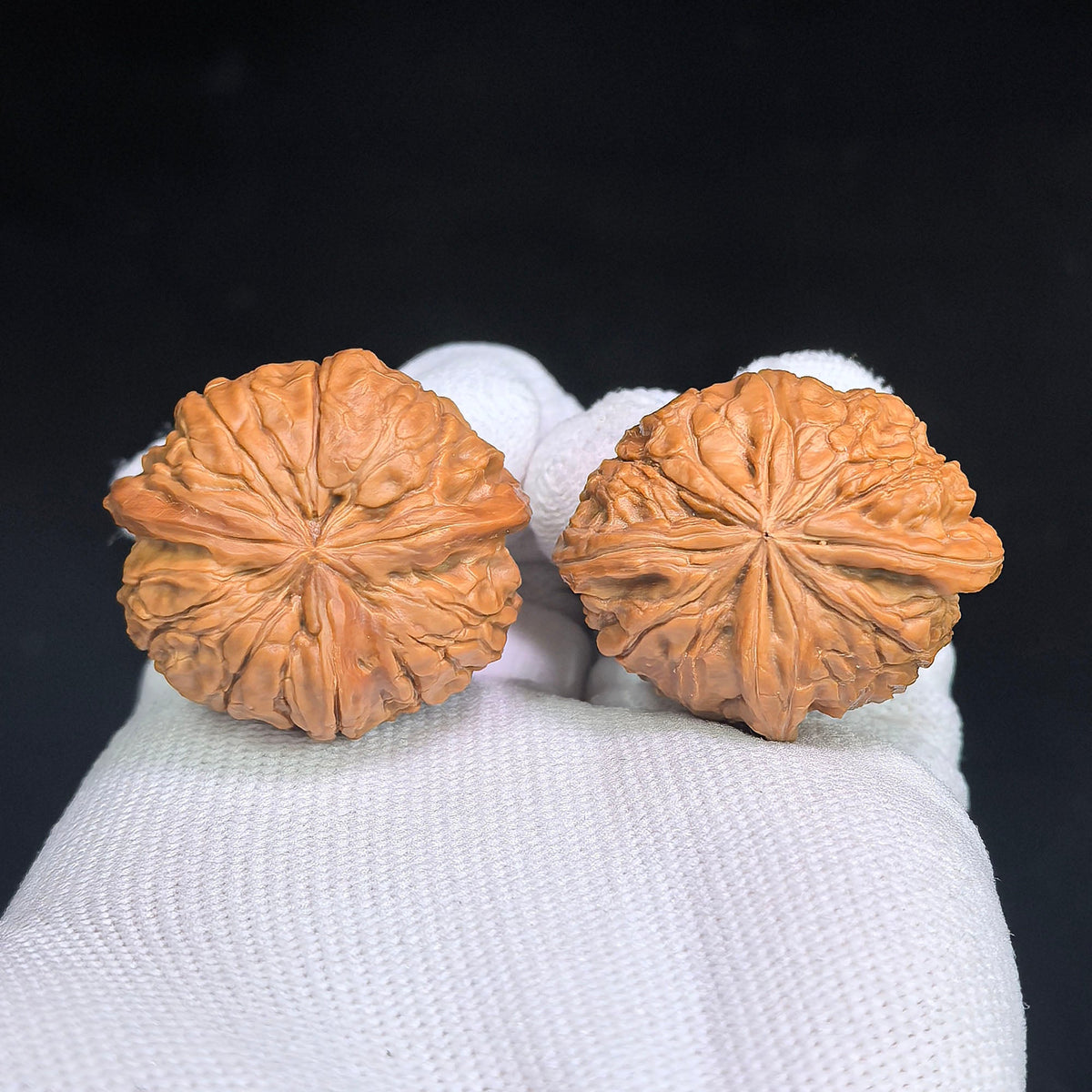 Miniature Wild “Sanleng Ding” Wenwan Walnut Pair – Three-Ridged Compact Form | 30.0mm × 36.0mm | XZYS-C1D1E - ThePatinaProject