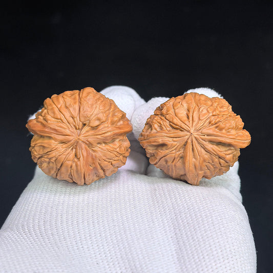 Miniature Wild “Sanleng Ding” Wenwan Walnut Pair – Three-Ridged Compact Form | 30.0mm × 36.0mm | XZYS-C1D1E - ThePatinaProject