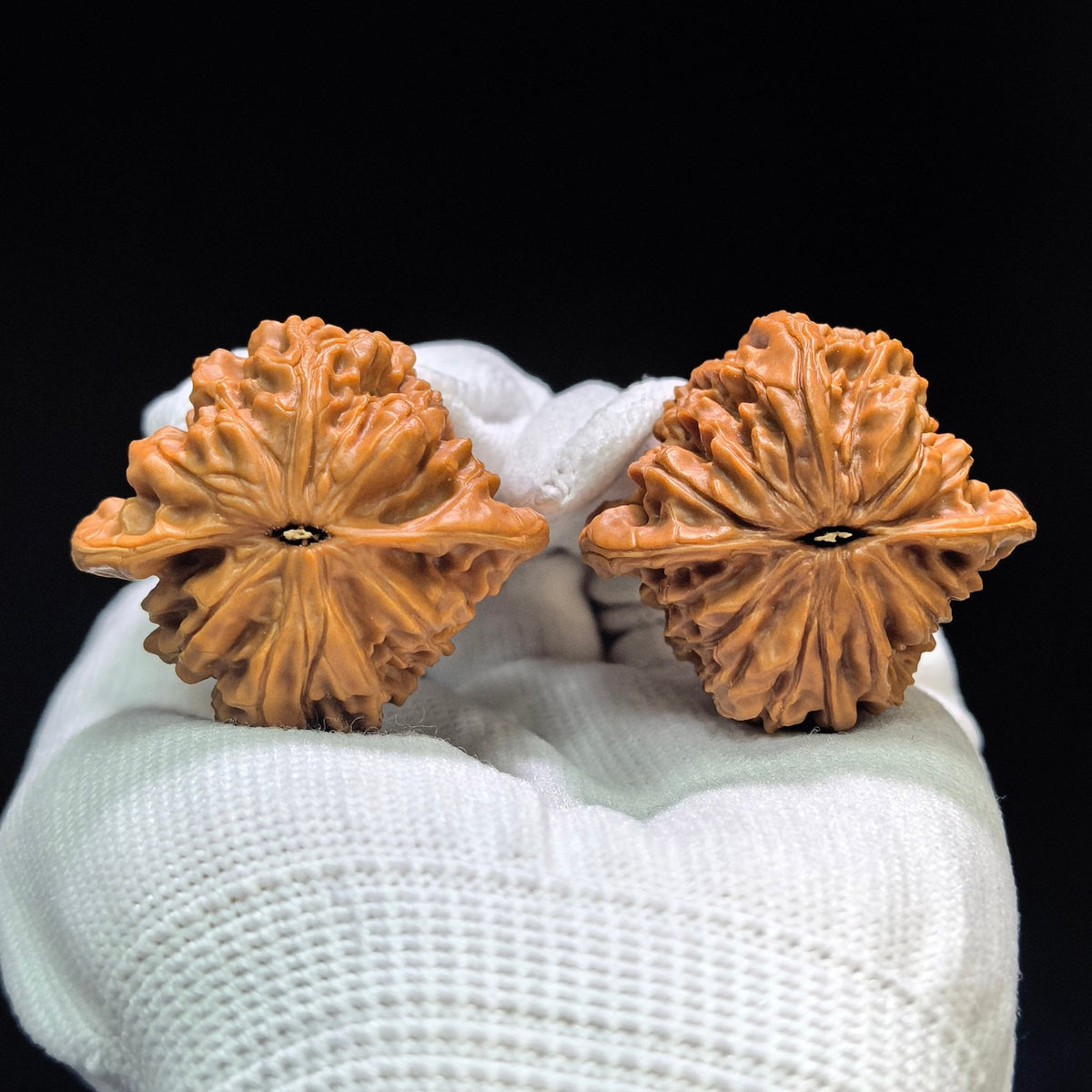"Misty Soul Mountain" Wuling Shan WLS-1602 Low-Profile Wenwan Walnuts Pair | 39.0mm x 36.0mm | WLS-1602 - ThePatinaProject