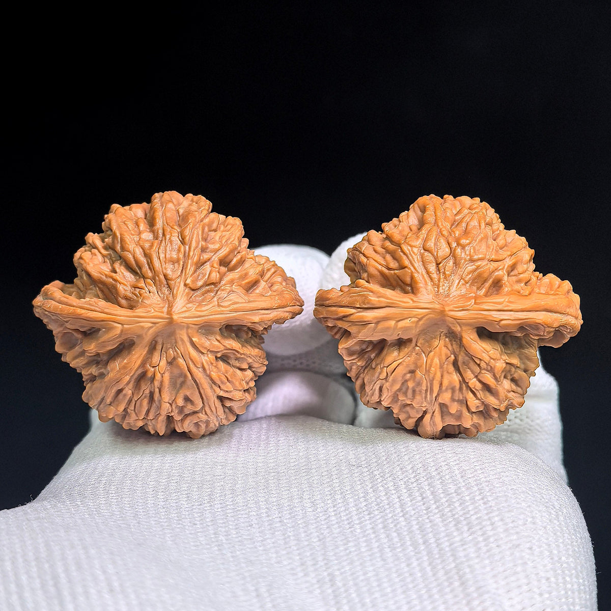 Mopan Wenwan Walnuts Pair | Compact Rounded Form | 39.0mm × 35.0mm | MP-1004 - ThePatinaProject