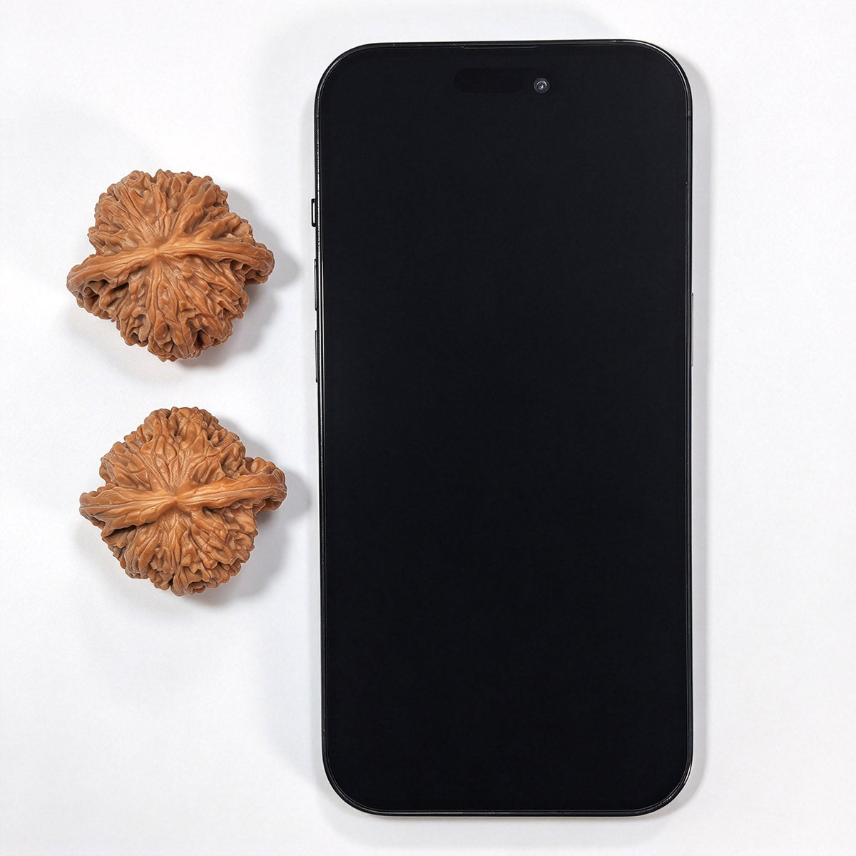 Mopan Wenwan Walnuts Pair | Compact Rounded Form | 39.0mm × 35.0mm | MP-1004 - ThePatinaProject