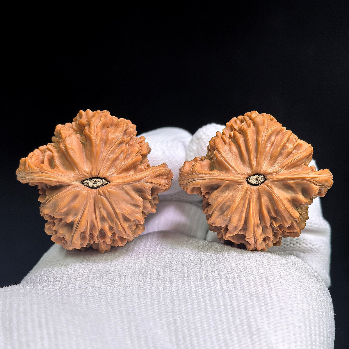 Mopan Wenwan Walnuts Pair | Compact Rounded Form | 39.0mm × 35.0mm | MP-1004 - ThePatinaProject