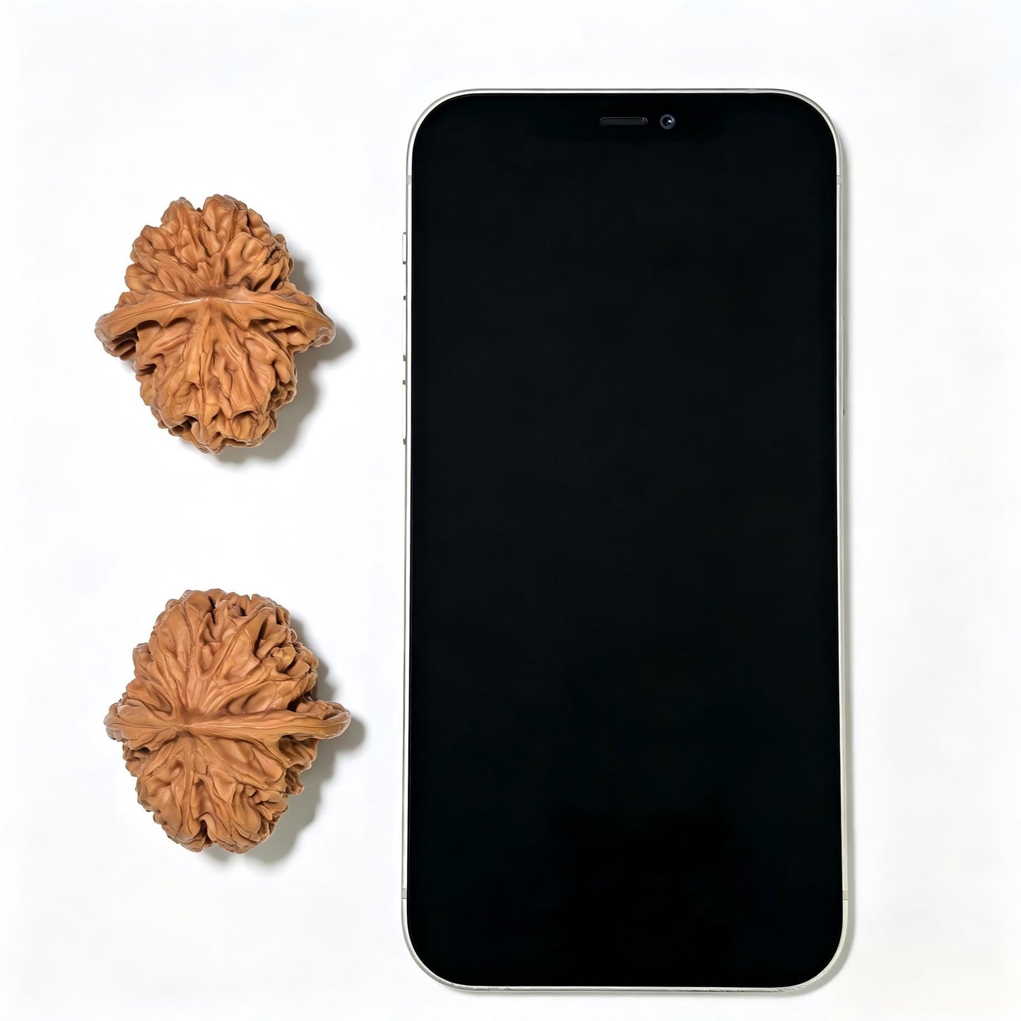 "Mountain Grown" Yesheng Classic Heritage Wenwan Walnuts Pair | 37.0mm x 40.0mm | YS-1103 - ThePatinaProject
