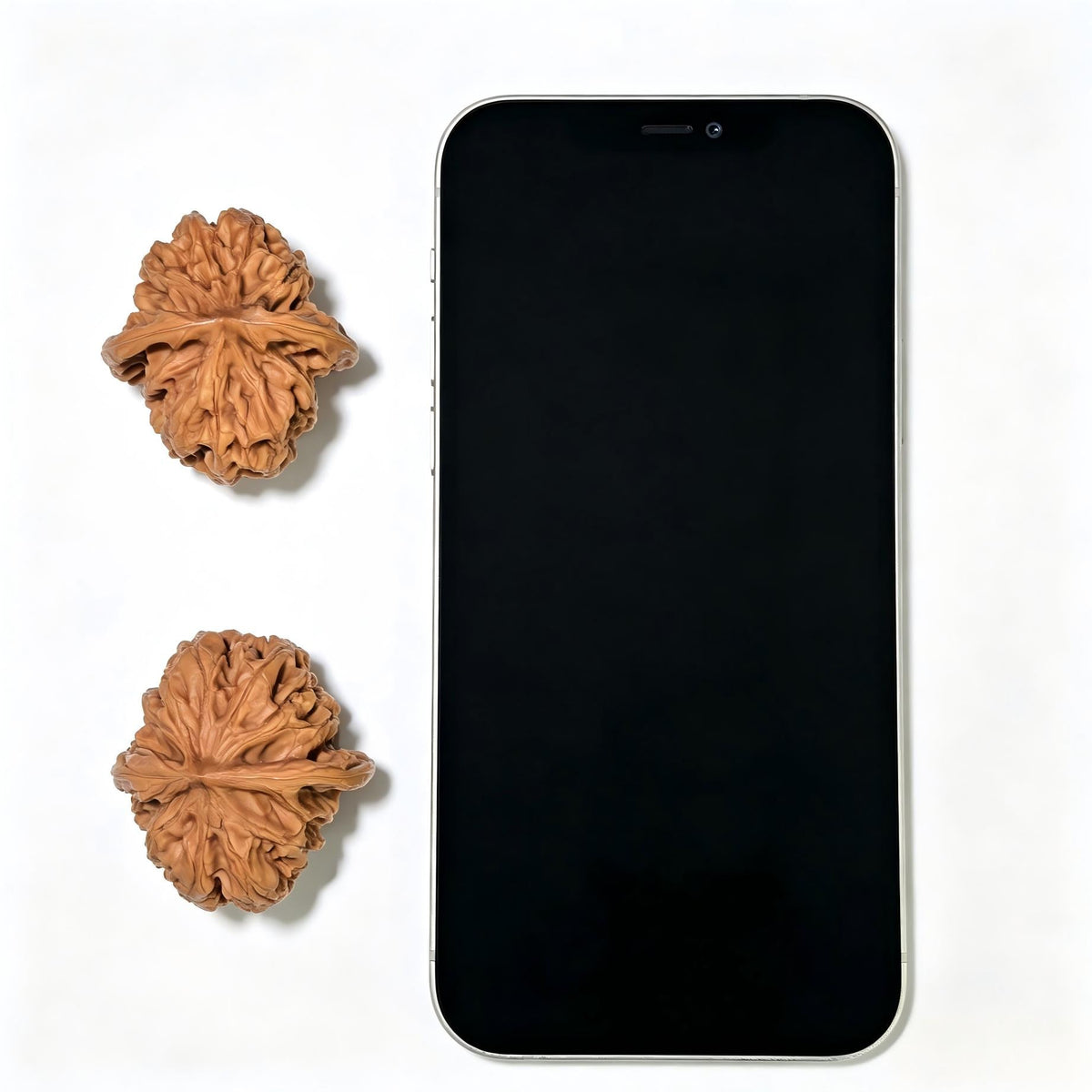 "Mountain Grown" Yesheng Classic Heritage Wenwan Walnuts Pair | 37.0mm x 40.0mm | YS-1103 - ThePatinaProject