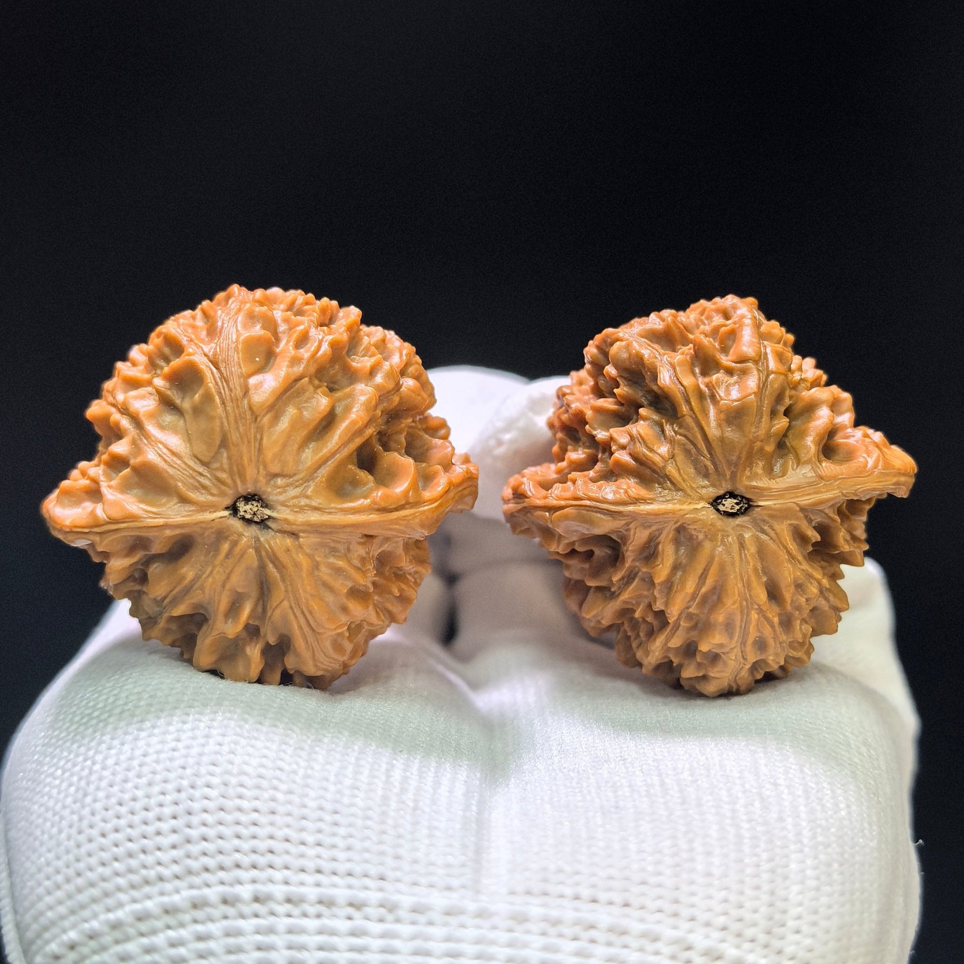 "Mountain Harvest" Old-Growth Low-Profile Wenwan Walnuts Pair | 39.0mm x 38.0mm | YS-1104 - ThePatinaProject