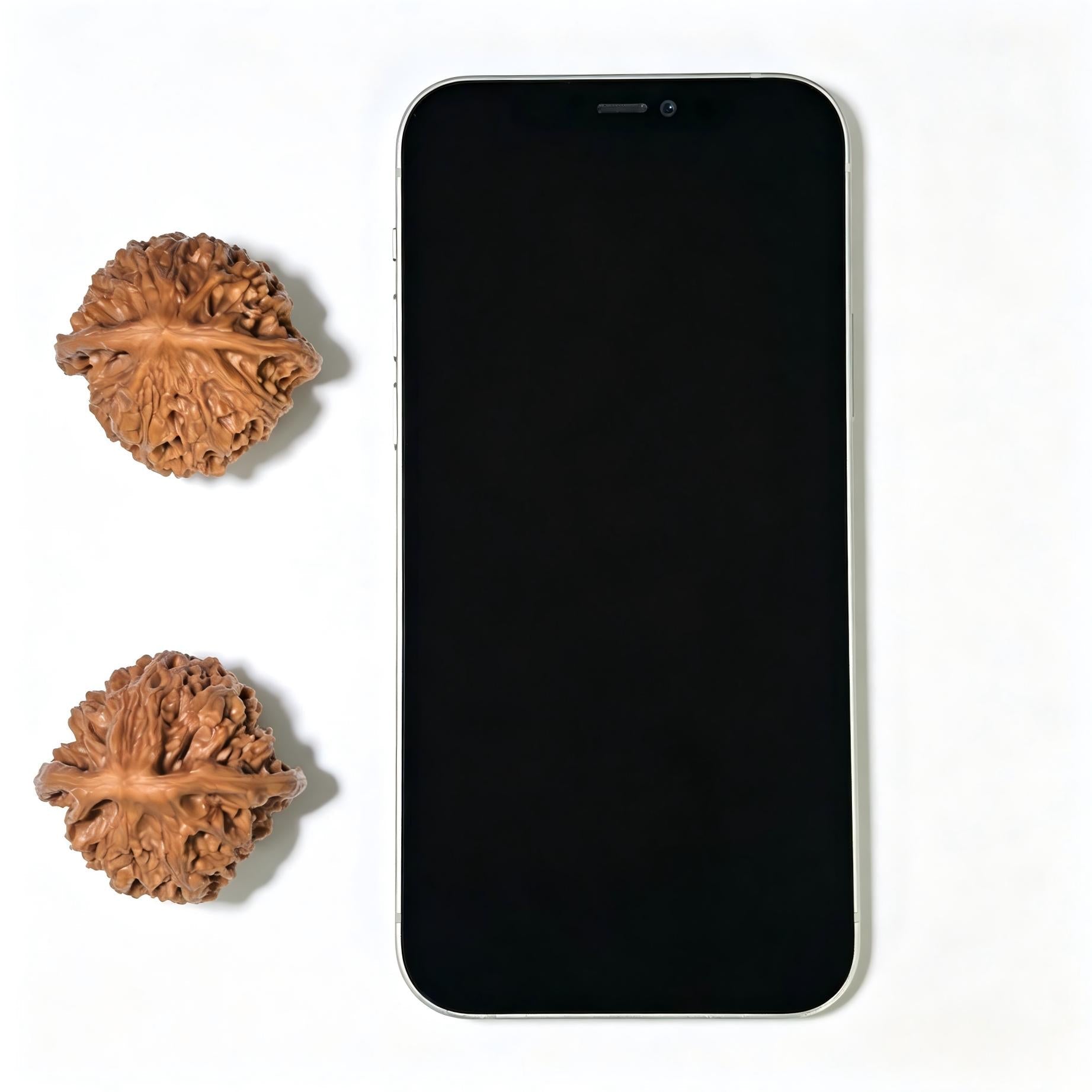 "Mountain Harvest" Old-Growth Low-Profile Wenwan Walnuts Pair | 39.0mm x 38.0mm | YS-1104 - ThePatinaProject