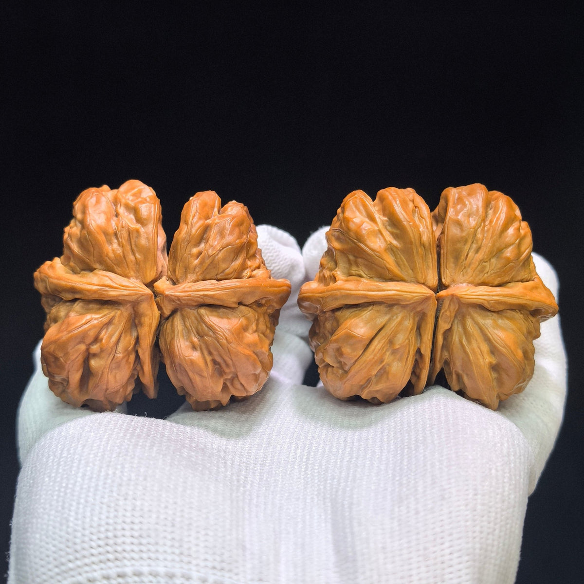 Museum-Grade "Toad Head Butterfly Conjoined Twin" (Ha Ma Tou Hu Die Lian Ti) Wild Scholar Walnut | Ultra-Rare 52.0mm x 45.0mm | High-End Collector Masterpiece | Stock ID: HDLLT-C01E - ThePatinaProject