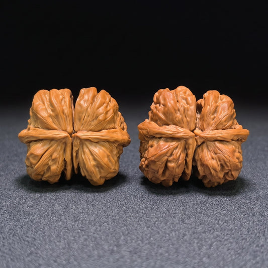 Museum-Grade "Toad Head Butterfly Conjoined Twin" (Ha Ma Tou Hu Die Lian Ti) Wild Scholar Walnut | Ultra-Rare 52.0mm x 45.0mm | High-End Collector Masterpiece | Stock ID: HDLLT-C01E - ThePatinaProject