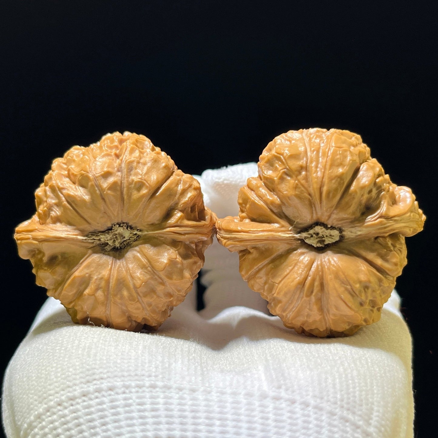 Nan Gua Dun (Pumpkin Ingot) Scholar Walnuts Pair | 44.0mm x 44.0mm | Stock ID: NGD-1101 - ThePatinaProject