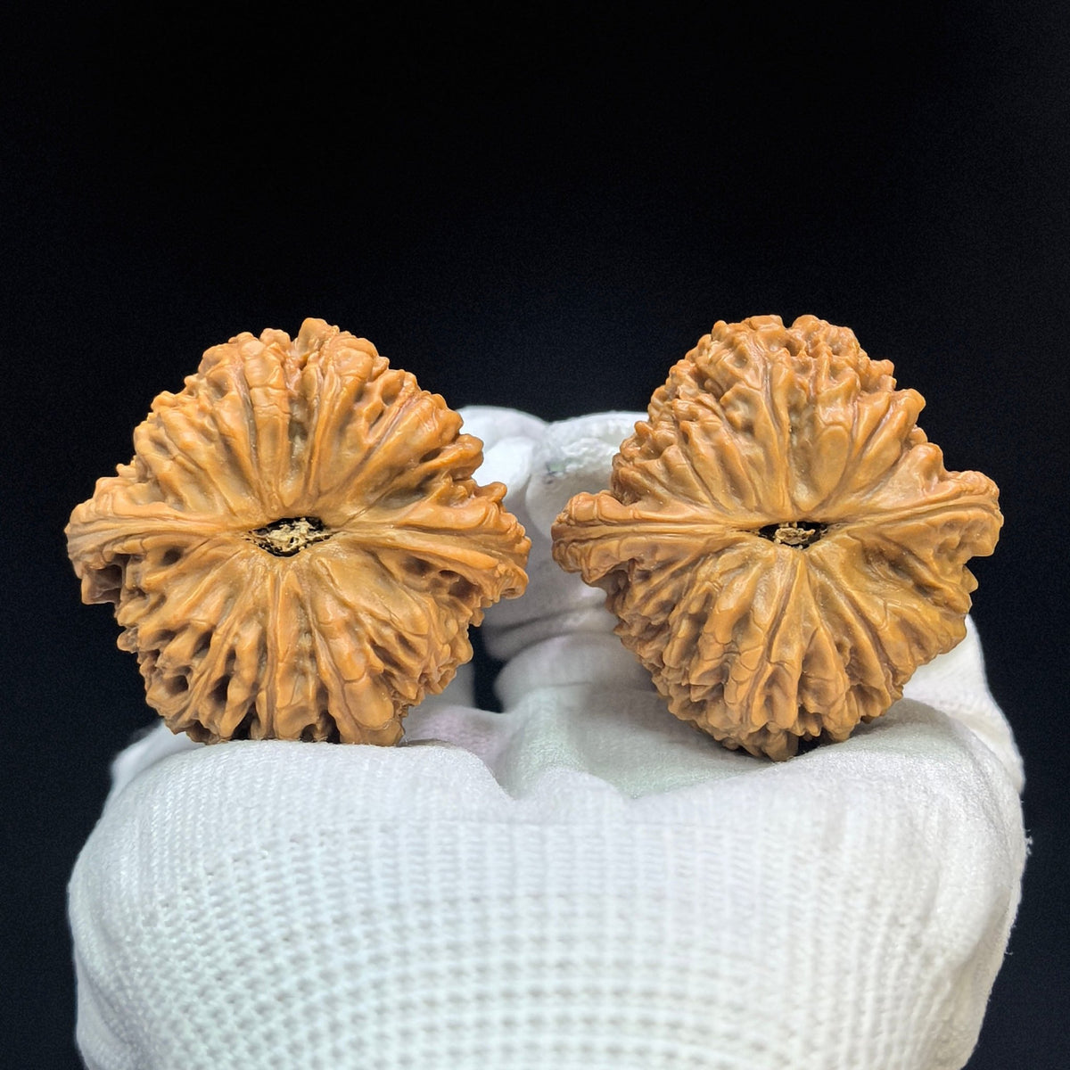 "Nanjiang Stone" Nanjiangshi Classic Heritage Wenwan Walnuts Pair | 43.0mm x 42.0mm | NJS-1504C - ThePatinaProject