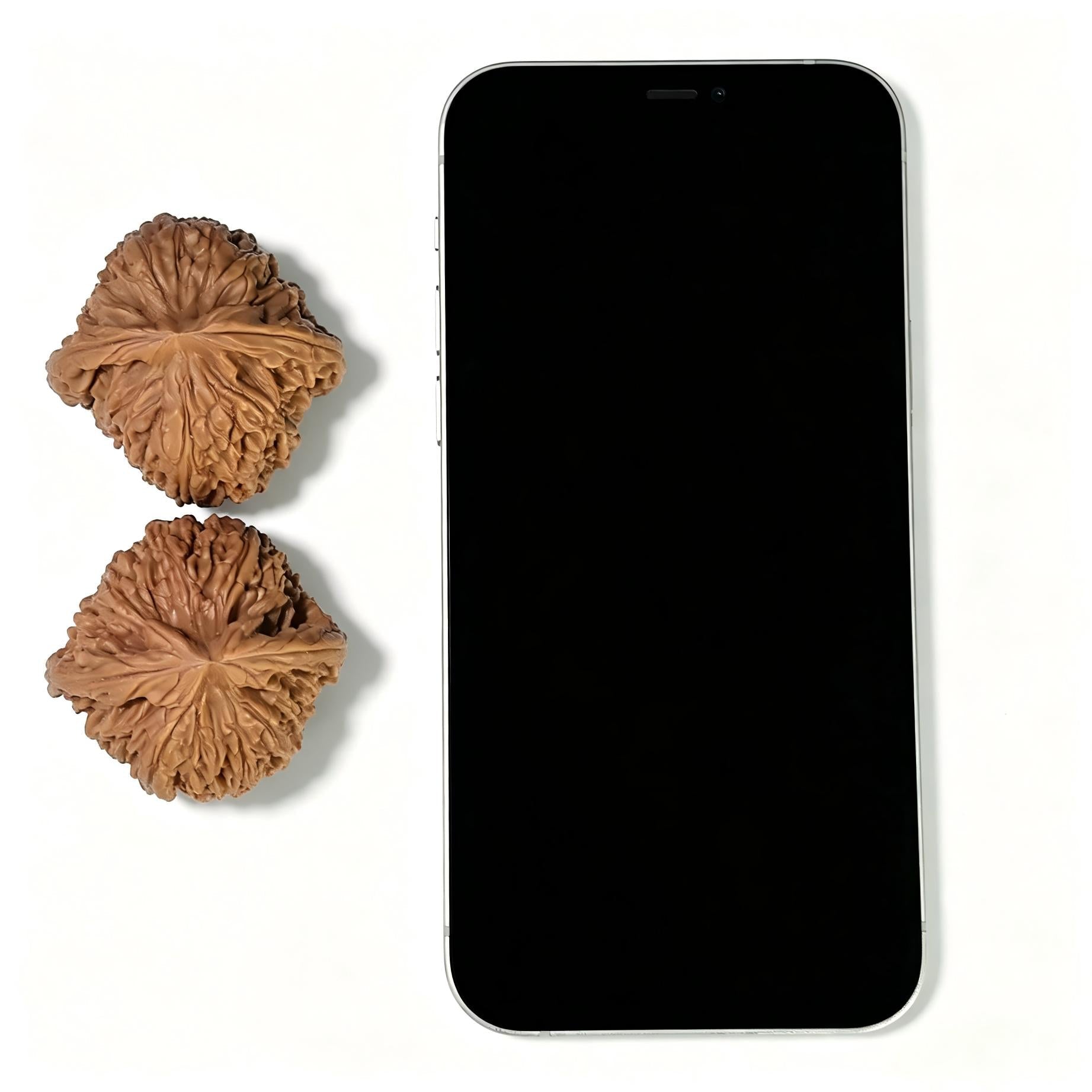 "Nanjiang Stone" Nanjiangshi Classic Heritage Wenwan Walnuts Pair | 43.0mm x 42.0mm | NJS-1504C - ThePatinaProject