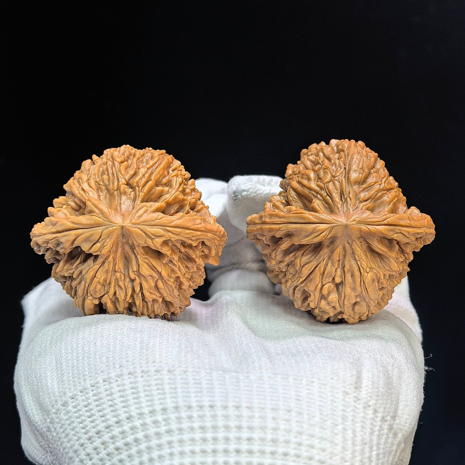 "Nanjiang Stone" Nanjiangshi Classic Heritage Wenwan Walnuts Pair | 43.0mm x 42.0mm | NJS-1504C - ThePatinaProject