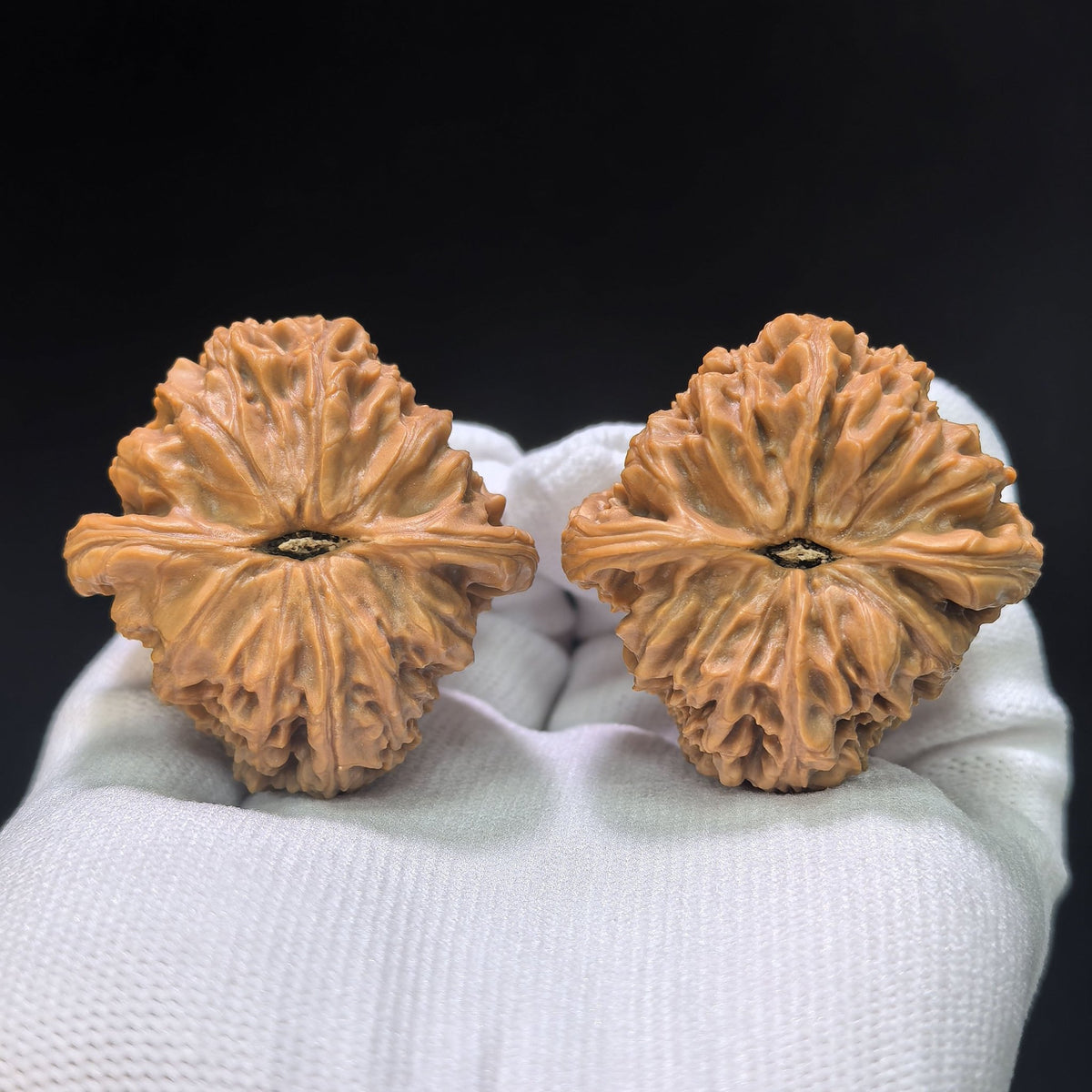 "Nanjiang Stone Red Shell" Nanjiangshi Hongke Wenwan Walnuts Pair | 41.0mm x 43.0mm | NJS-1511C - ThePatinaProject