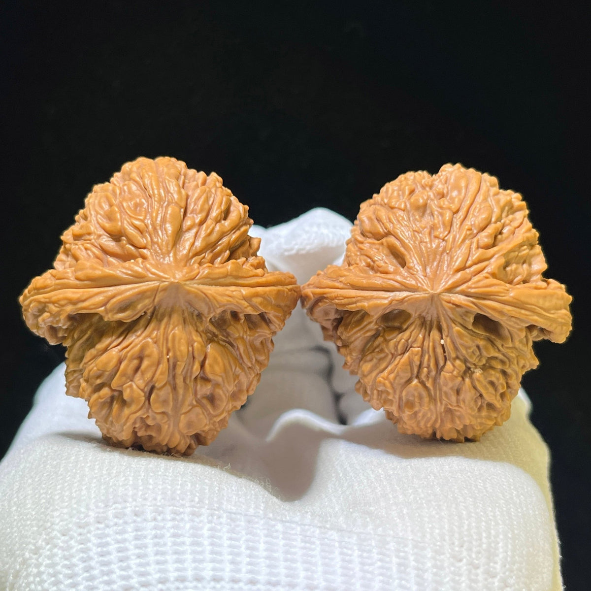 "Nanjiangshi Natural Asymmetrical Base / Nan Jiang Shi Tian Can Jiao" Heirloom Collection Wenwan Walnuts Pair | 40.0mm x 42.0mm | NJS-1112 - ThePatinaProject