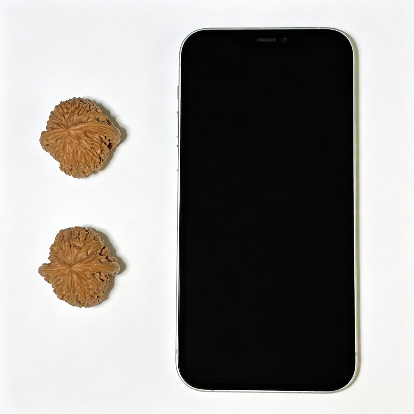 Nanjiangshi Scholar Walnuts Pair | 32.0mm x 32.0mm | Stock ID: NJS-1101 - ThePatinaProject