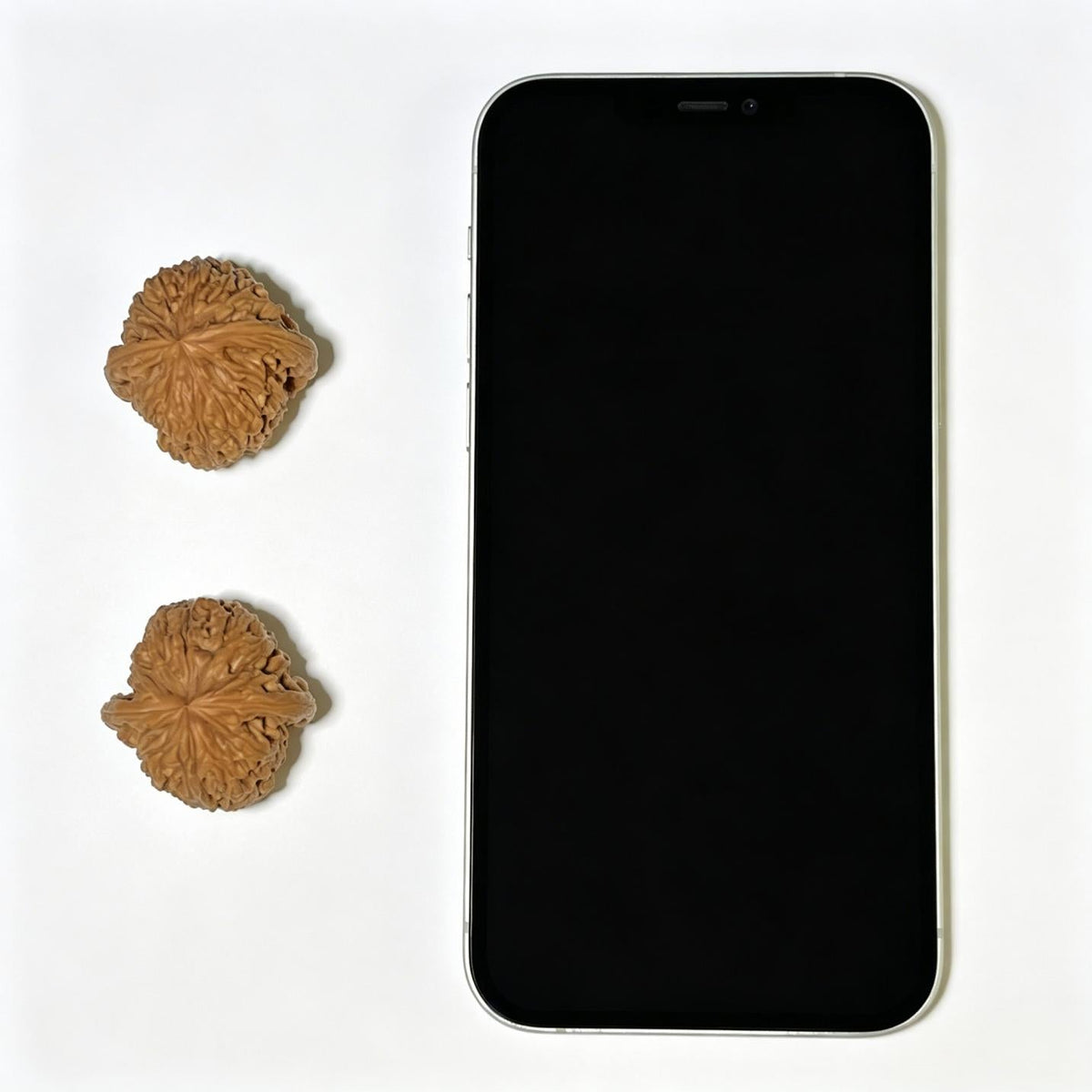 Nanjiangshi Scholar Walnuts Pair | 32.0mm x 32.0mm | Stock ID: NJS-1101 - ThePatinaProject