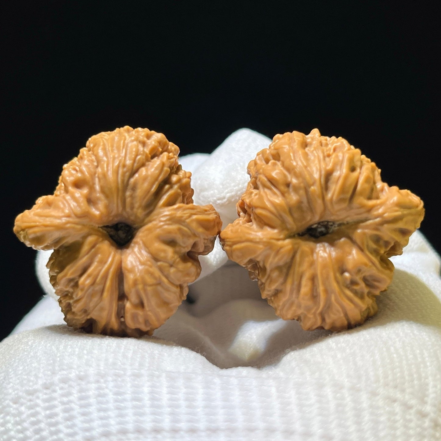 Nanjiangshi Scholar Walnuts Pair | 32.0mm x 32.0mm | Stock ID: NJS-1101 - ThePatinaProject