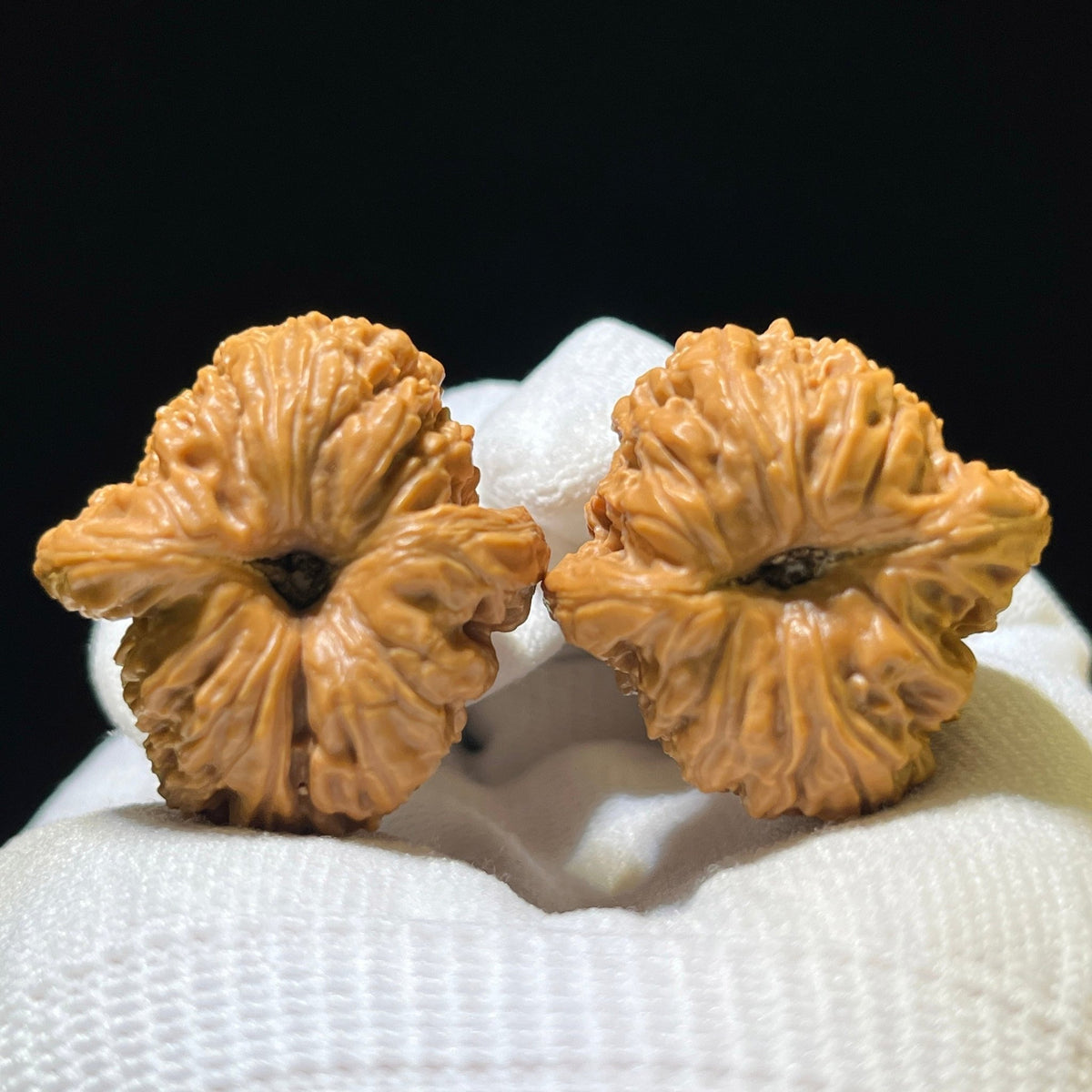Nanjiangshi Scholar Walnuts Pair | 32.0mm x 32.0mm | Stock ID: NJS-1101 - ThePatinaProject