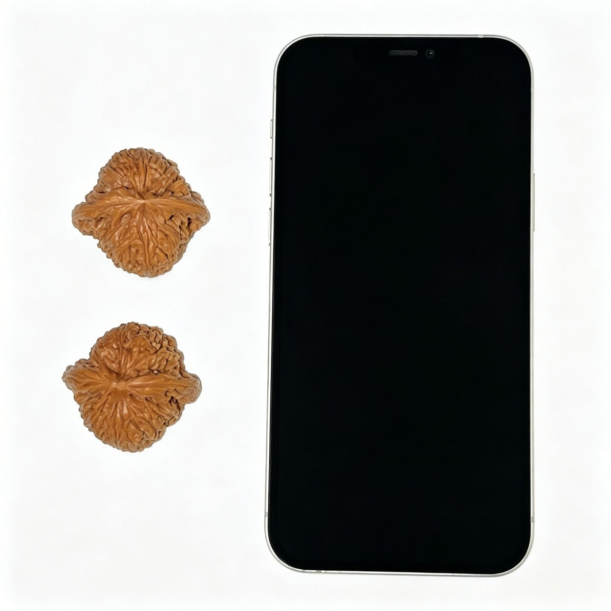 Nanjiangshi Scholar Walnuts Pair | 37.0mm x 34.0mm | Stock ID: NJS-1102 - ThePatinaProject