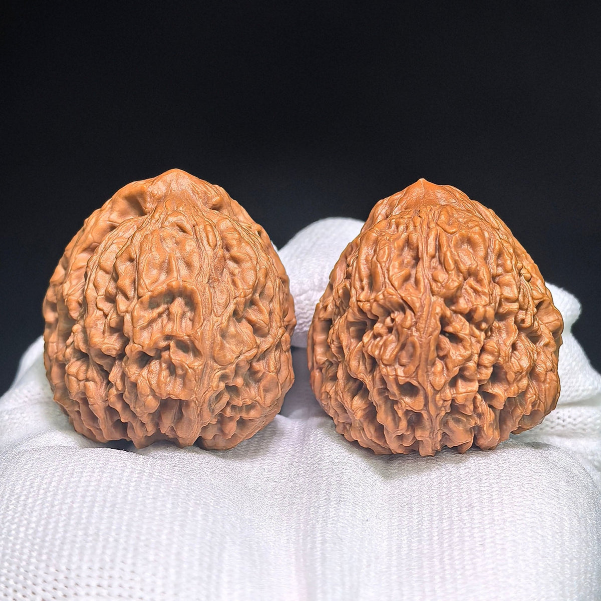 "Nanjiangstone Turtle-Back Buddha Belly" NJSWGBFD-CG1B8E Wenwan Walnuts Collector Pair | 38.0mm x 40.0mm | Stock ID: NJSWGBFD-CG1B8E - ThePatinaProject