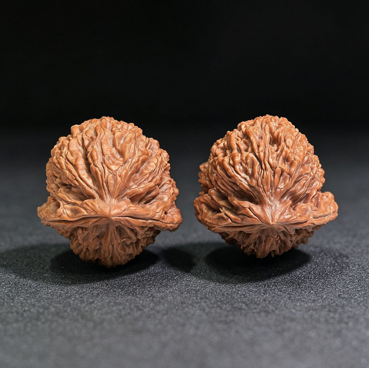 "Nanjiangstone Turtle-Back Buddha Belly" NJSWGBFD-CG1B8E Wenwan Walnuts Collector Pair | 38.0mm x 40.0mm | Stock ID: NJSWGBFD-CG1B8E - ThePatinaProject