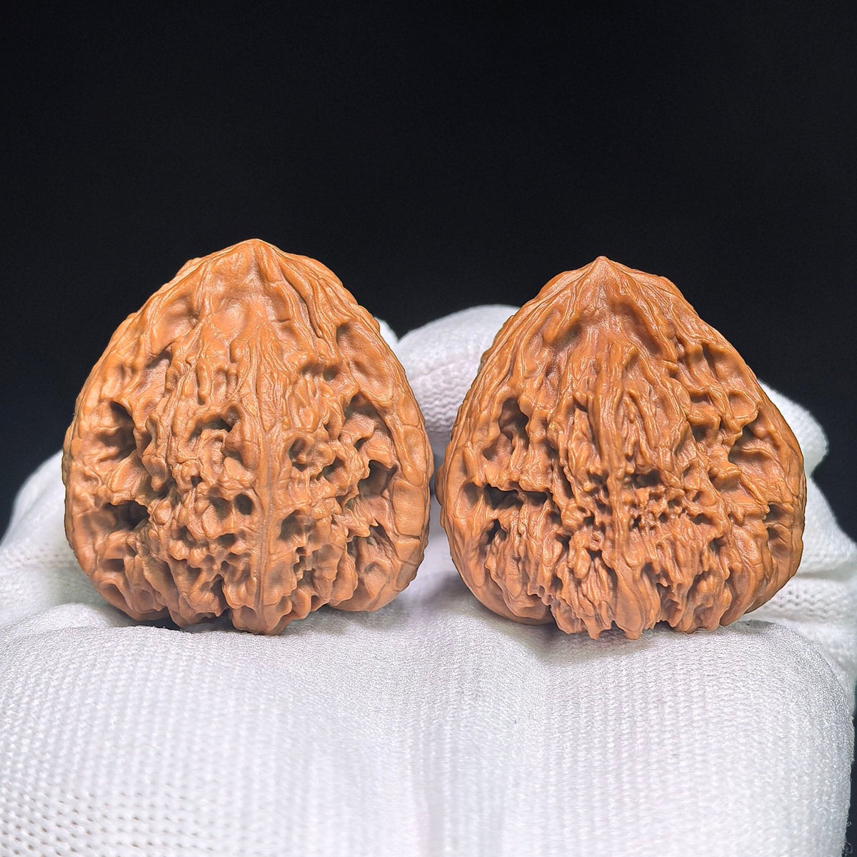 "Nanjiangstone Turtle-Back Buddha Belly" NJSWGBFD-CG1B8E Wenwan Walnuts Collector Pair | 38.0mm x 40.0mm | Stock ID: NJSWGBFD-CG1B8E - ThePatinaProject
