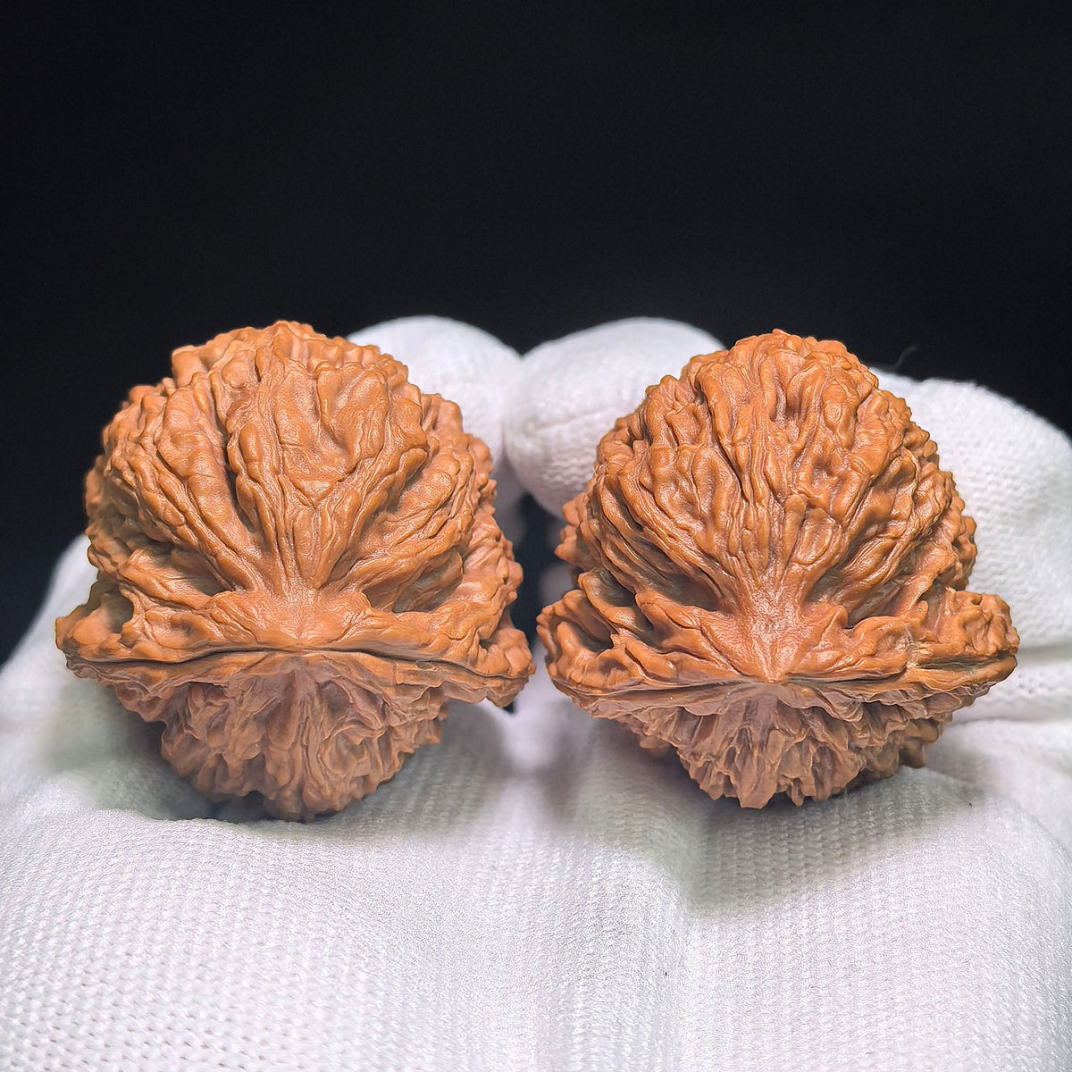 "Nanjiangstone Turtle-Back Buddha Belly" NJSWGBFD-CG1B8E Wenwan Walnuts Collector Pair | 38.0mm x 40.0mm | Stock ID: NJSWGBFD-CG1B8E - ThePatinaProject