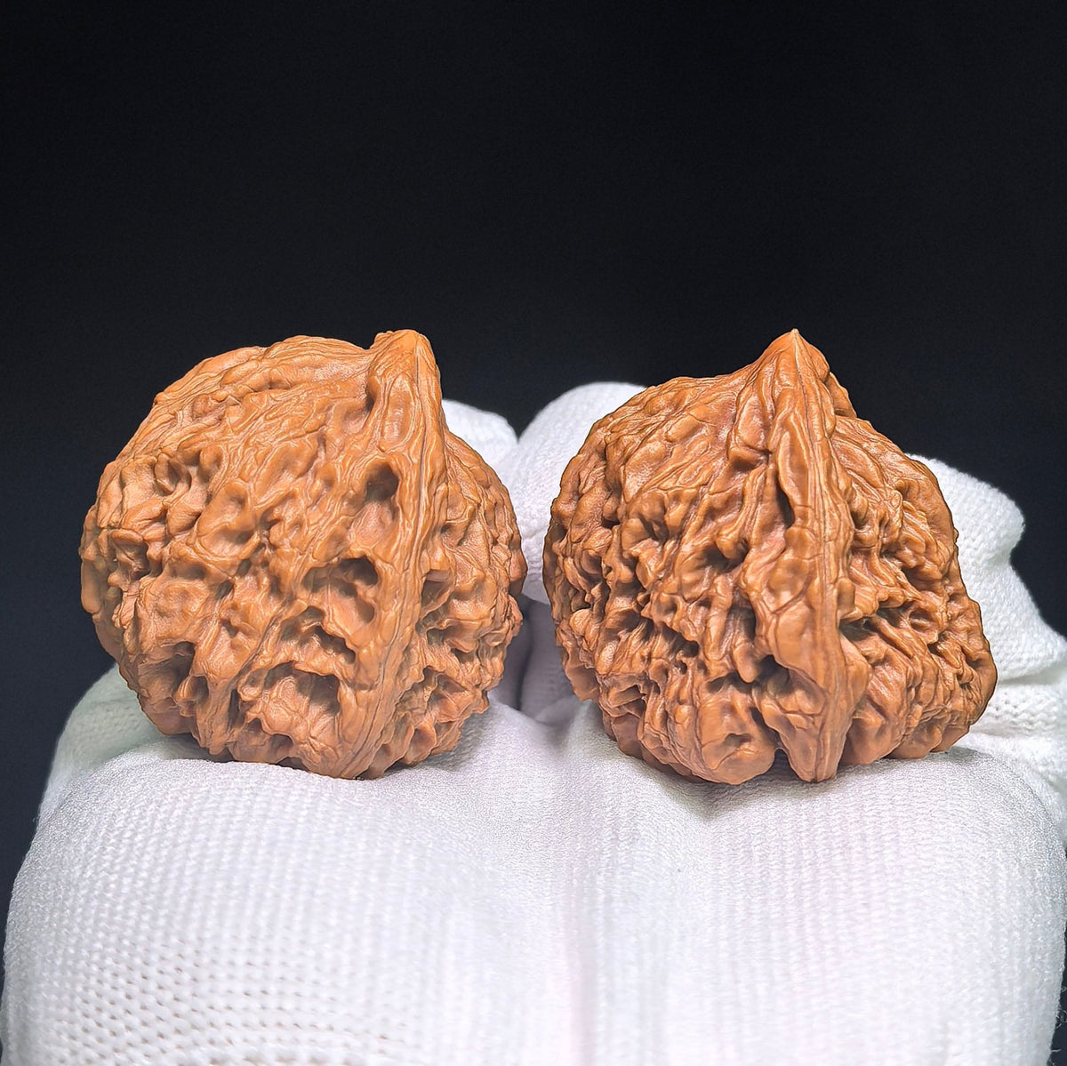 "Nanjiangstone Turtle-Back Buddha Belly" NJSWGBFD-CG1B8E Wenwan Walnuts Collector Pair | 38.0mm x 40.0mm | Stock ID: NJSWGBFD-CG1B8E - ThePatinaProject