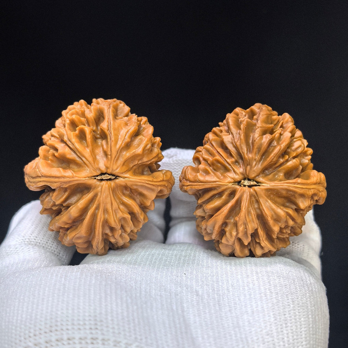 "Nine-Story Demon Tower" (Jiu Ceng Yao Ta) ZCS-1101 Collector Wenwan Walnuts Pair | 45.0mm x 47.0mm | Stock ID: ZCS-1101 - ThePatinaProject