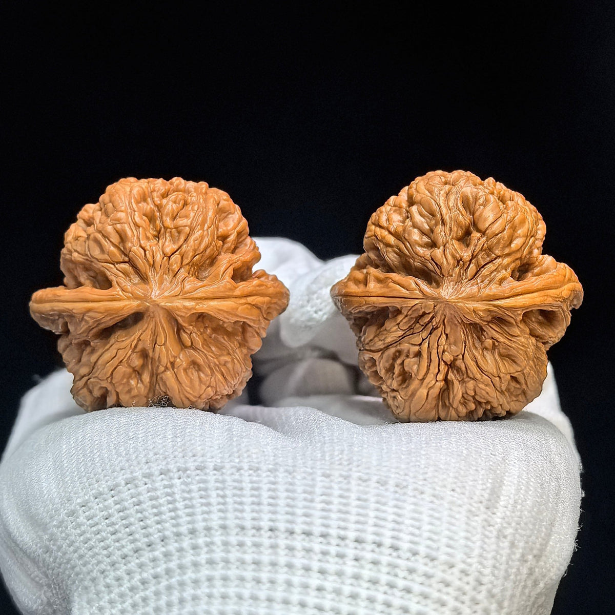 "North China General Shoulder" Huabei Jiangjun Bang Wenwan Walnuts (Pair) | 39.0mm x 40.0mm | Stock ID: HBJJB-1502C - ThePatinaProject