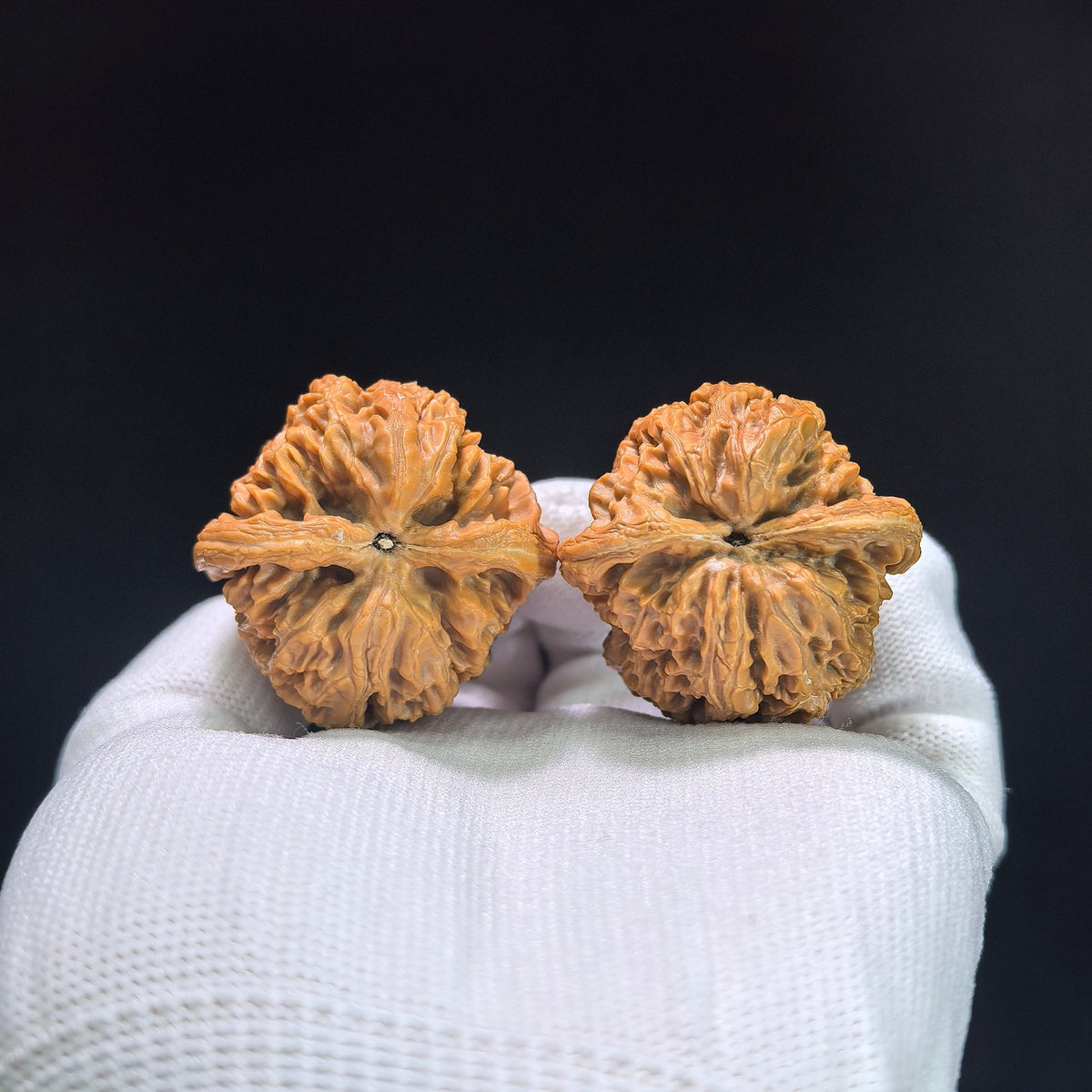 "North China General Shoulder" Huabei Jiangjunbang Wenwan Walnuts Pair | 37.0mm x 37.0mm | HBJJB-1103 - ThePatinaProject